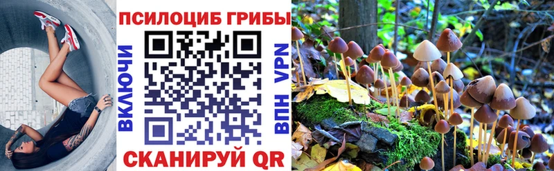 Галлюциногенные грибы Cubensis Спасск