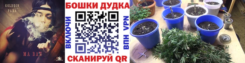 сколько стоит  Спасск  omg ссылка  Конопля конопля 